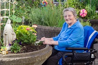 Elderly lady with galsses in a blue jumper gardening by hand in an elevated garden from her seat in a wheelchair